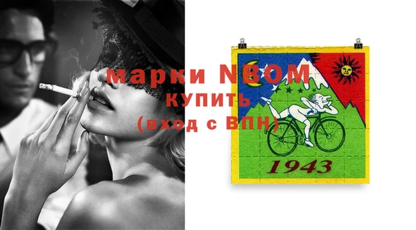 стаф Алзамай