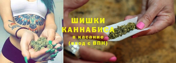 стаф Алзамай