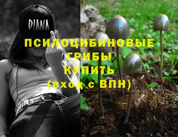 стаф Алзамай