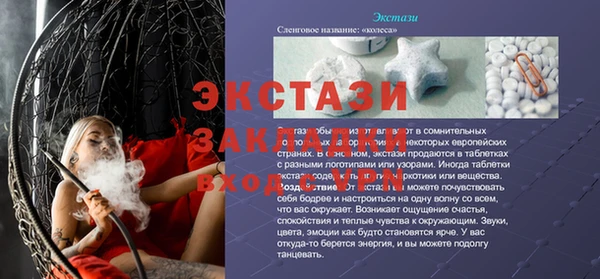 стаф Алзамай