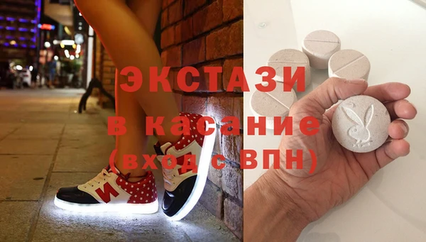стаф Алзамай